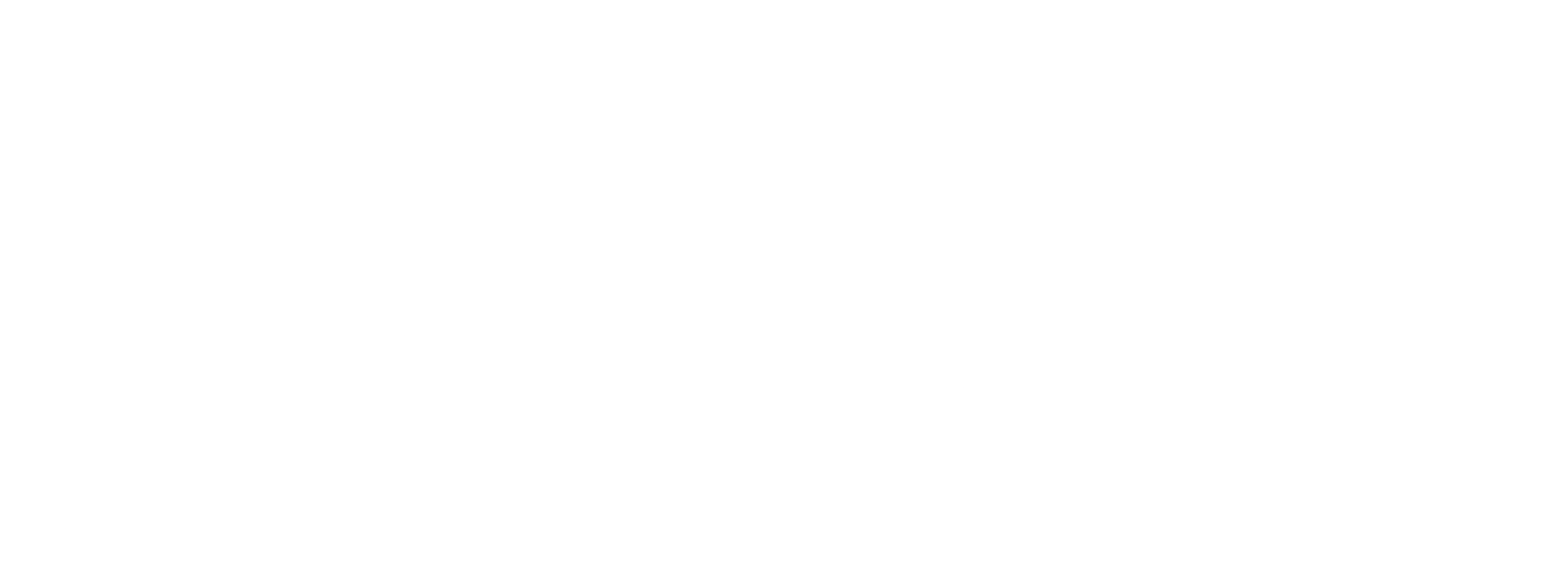 logo_white